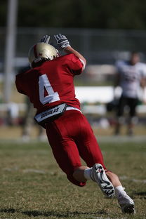 开云真人体育娱乐-中超球队重点对手研究频率分布，中超球队实力分析